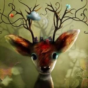 Meet your Posher, Mackenzie